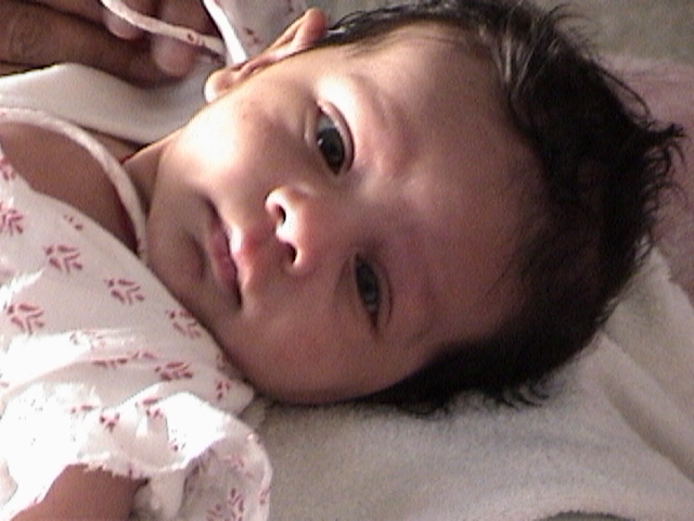 Rohan
